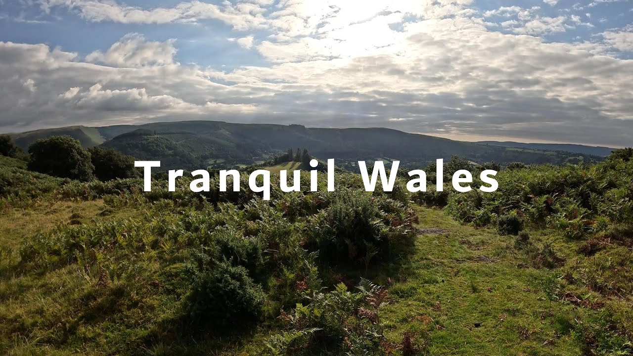 Hiking and photography in the Rhandirmwyn & Llyn Brianne area. Using Canon RF 24-240 lens