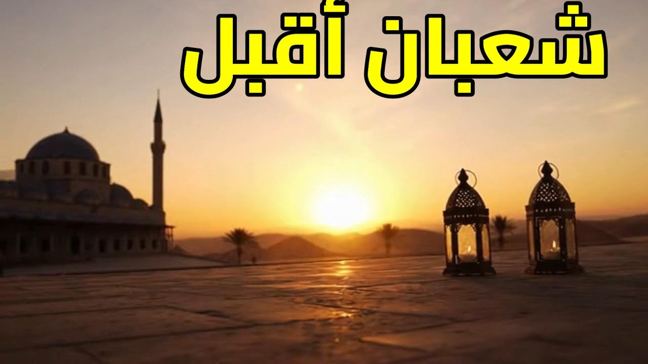 شعبان أقبل