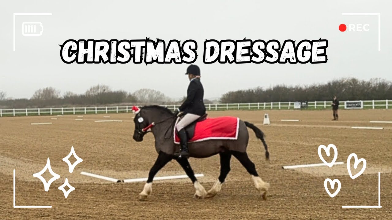 Приглашаем вас на рождественские соревнования по выездке! | Наше первое выступление после того, к...