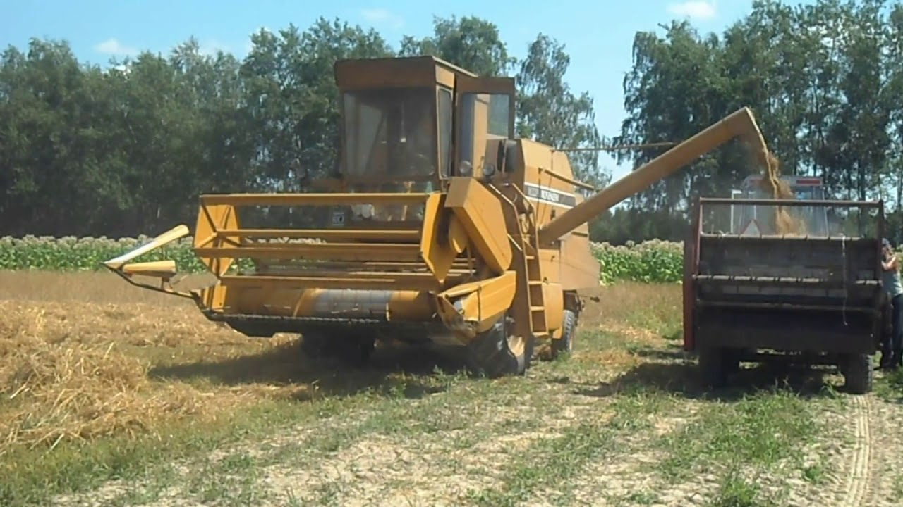 Żniwa owsiane 2017 Massey Ferguson(IMT)577 Ursus 4011 & Sampo Rosenlew 500
