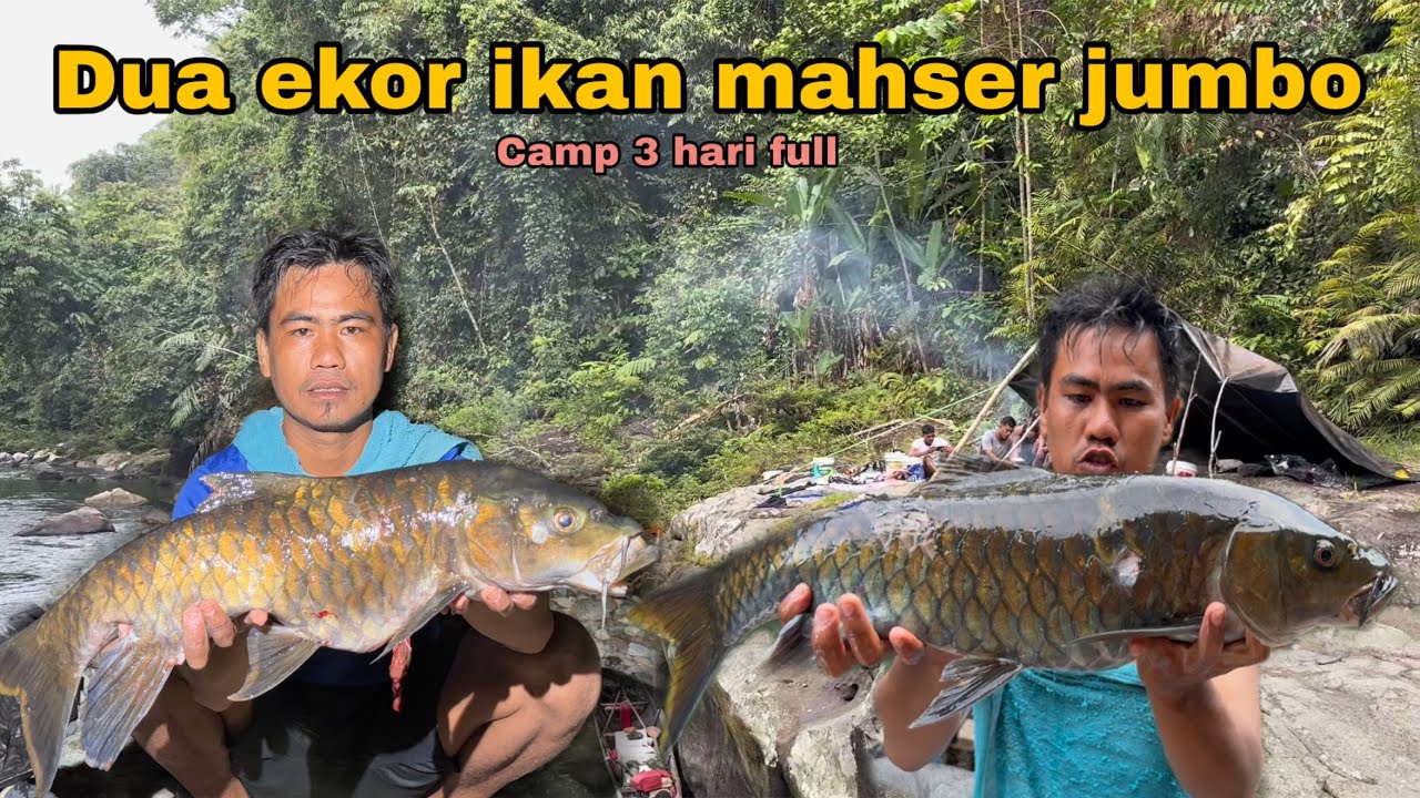 Camping menuju gunung kembar hulu sungai berburu ikan mahser jumbo : full 