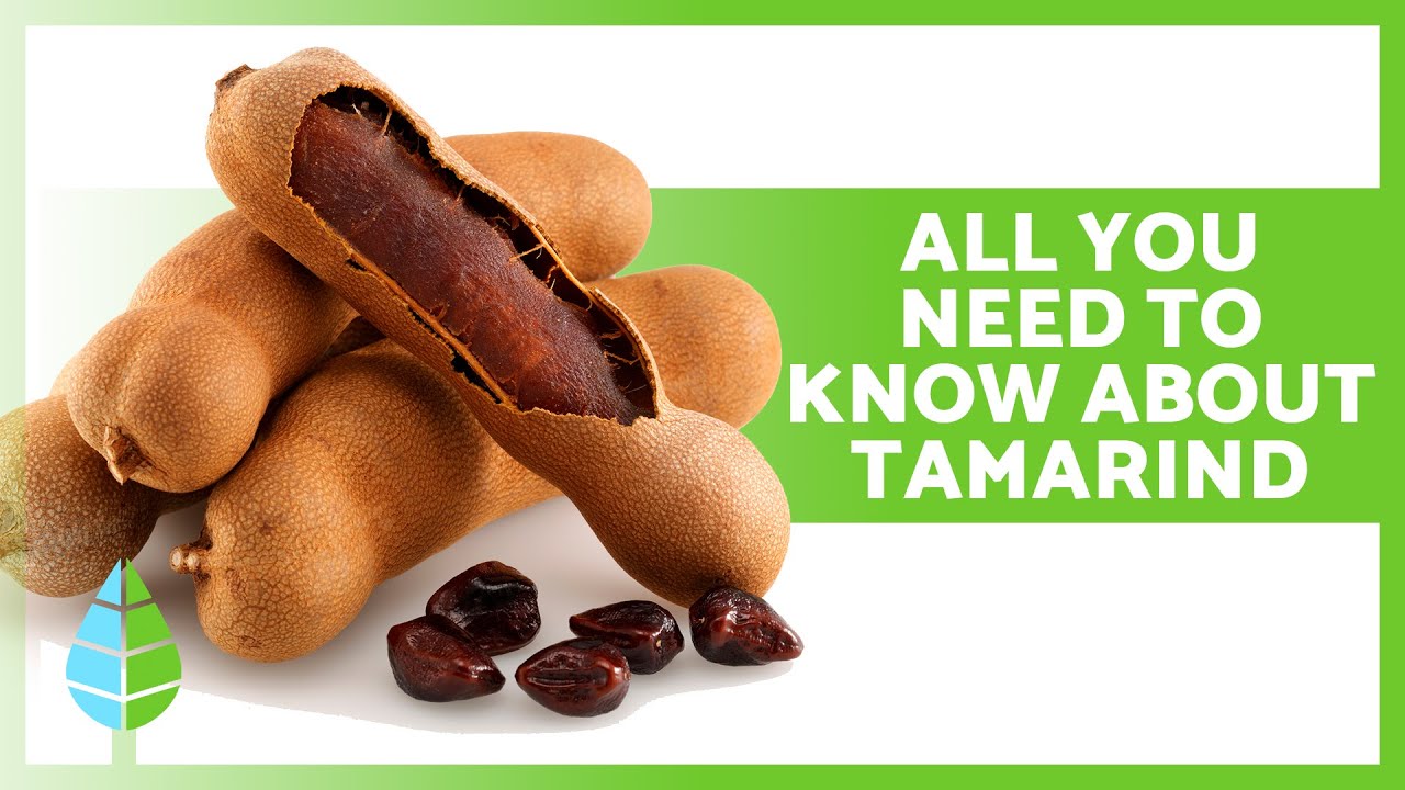 Польза тамаринда для здоровья 🥜✅ (лечебные свойства, советы по применению и противопоказания)