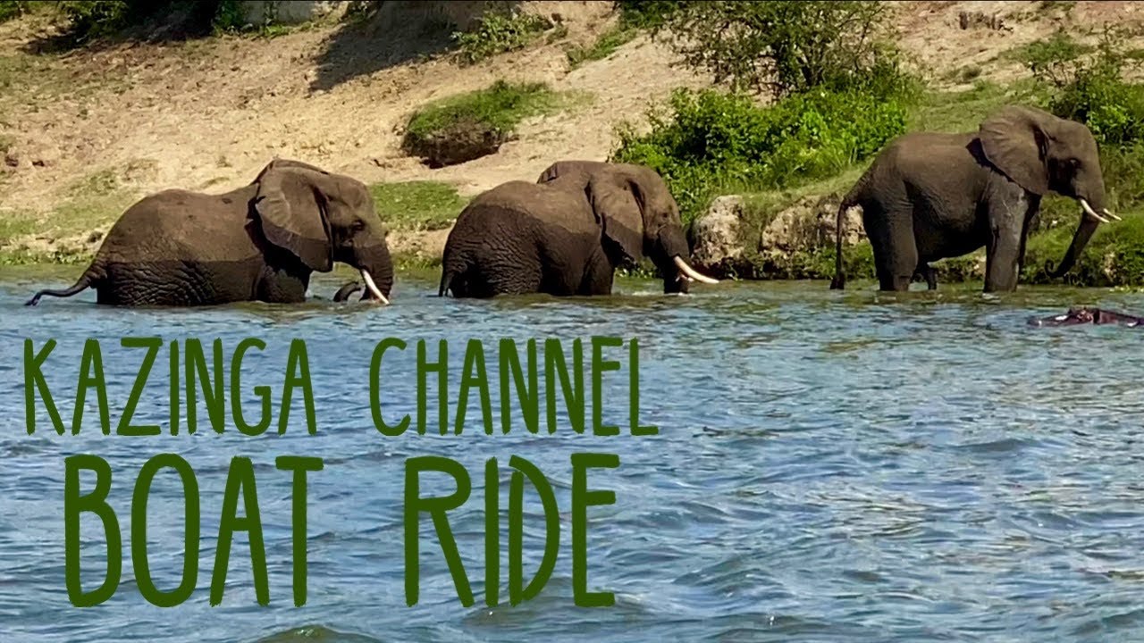 Kazinga Channel Boat Ride | Uganda