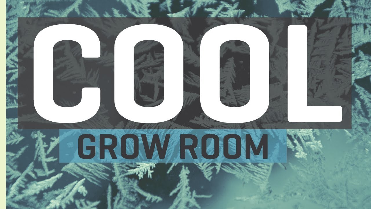 Cool Basement Grow Room Upgrades &mdash; New LED Grow Lights