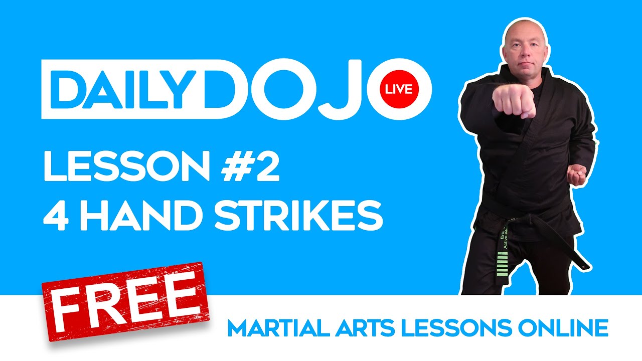 FREE MARTIAL ARTS LESSONS: Lesson #2 (4 Hand Strikes)