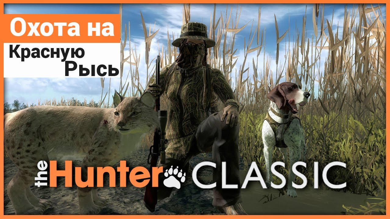 Охота на Красную Рысь в theHunter: Classic