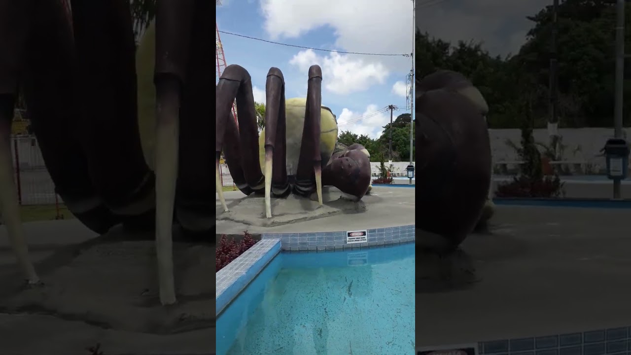 A  Rotatória  em Bayeux  Paraíba. O caranguejo  gigante👏👏👏👏👏👏