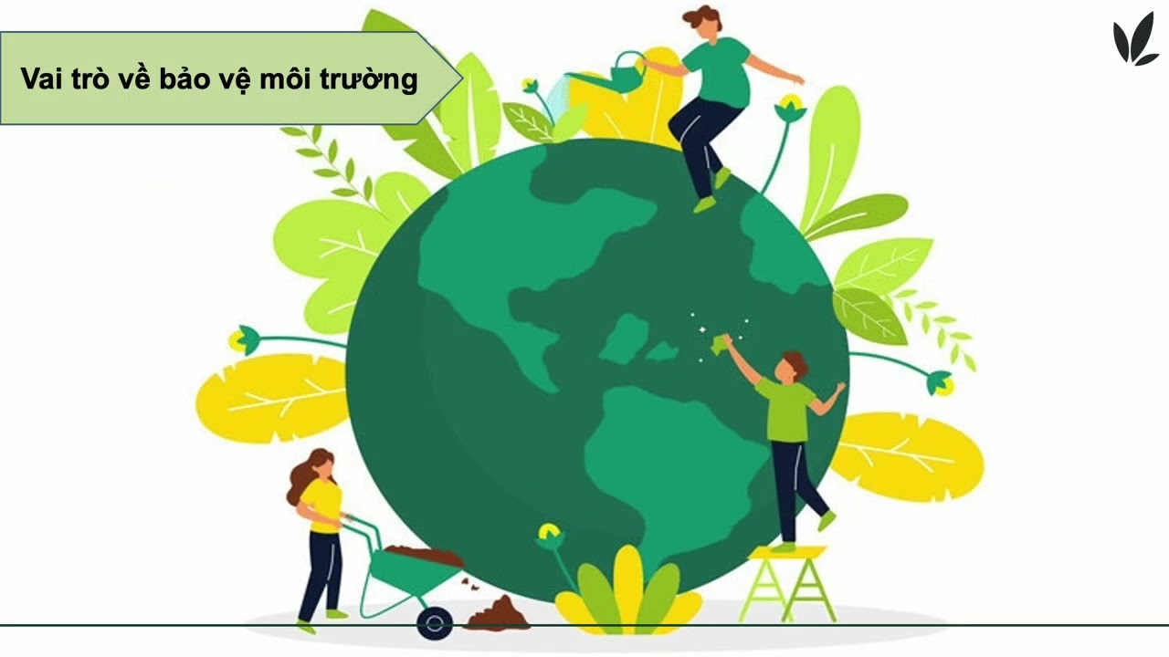 CNNN 11 - Bài 12: Vai trò phòng và trị bệnh cho vật nuôi