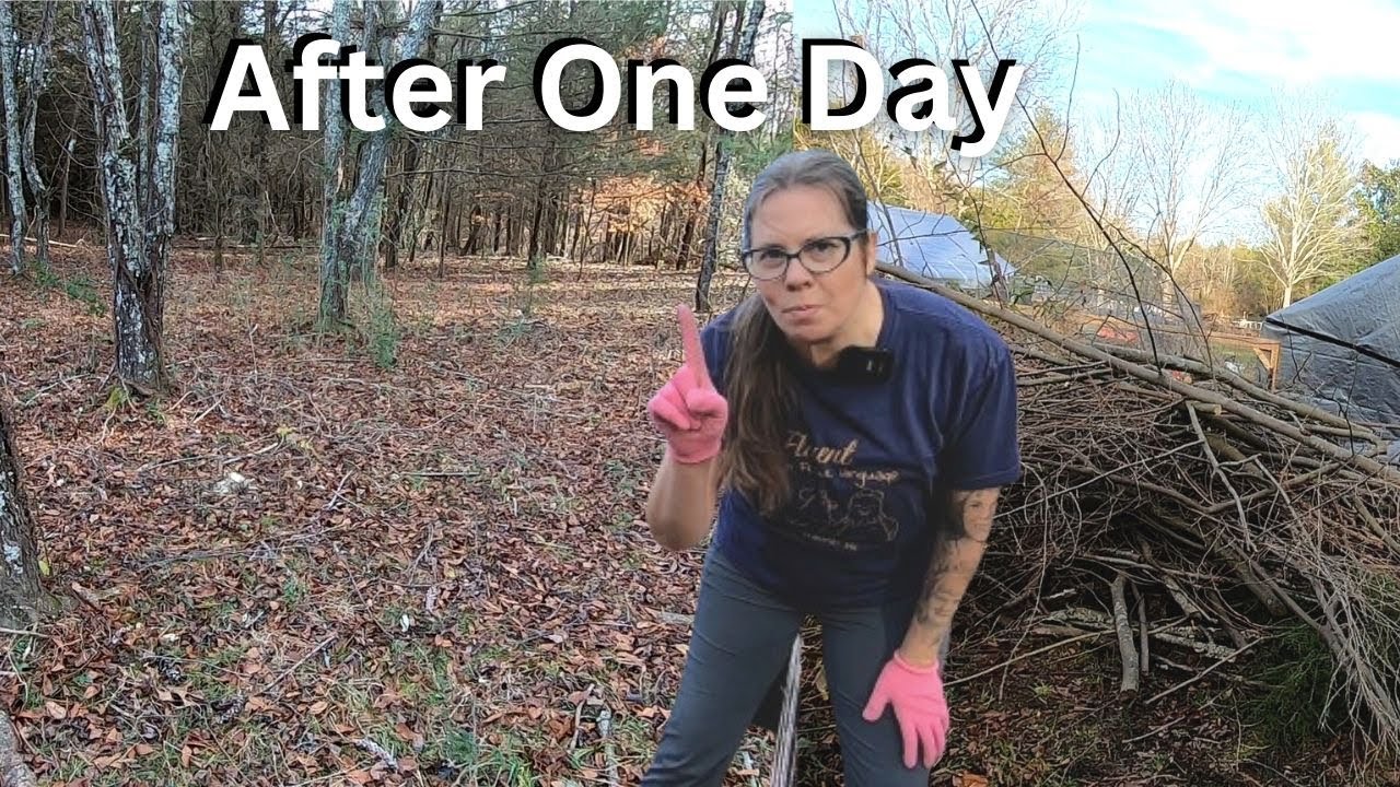 Reclaiming the Landscape | Overgrown Homestead & Trail Cam Footage