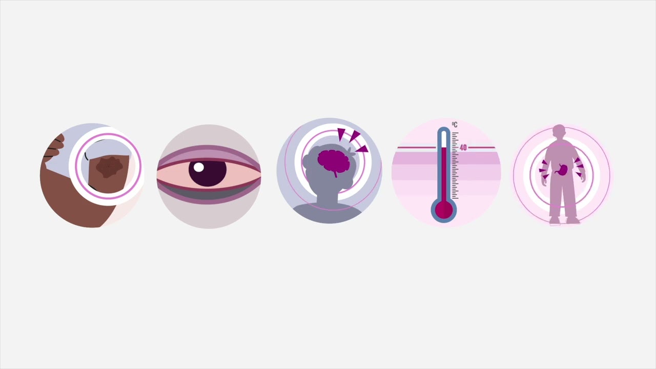 All about HPV and the HPV Vaccine (English version)