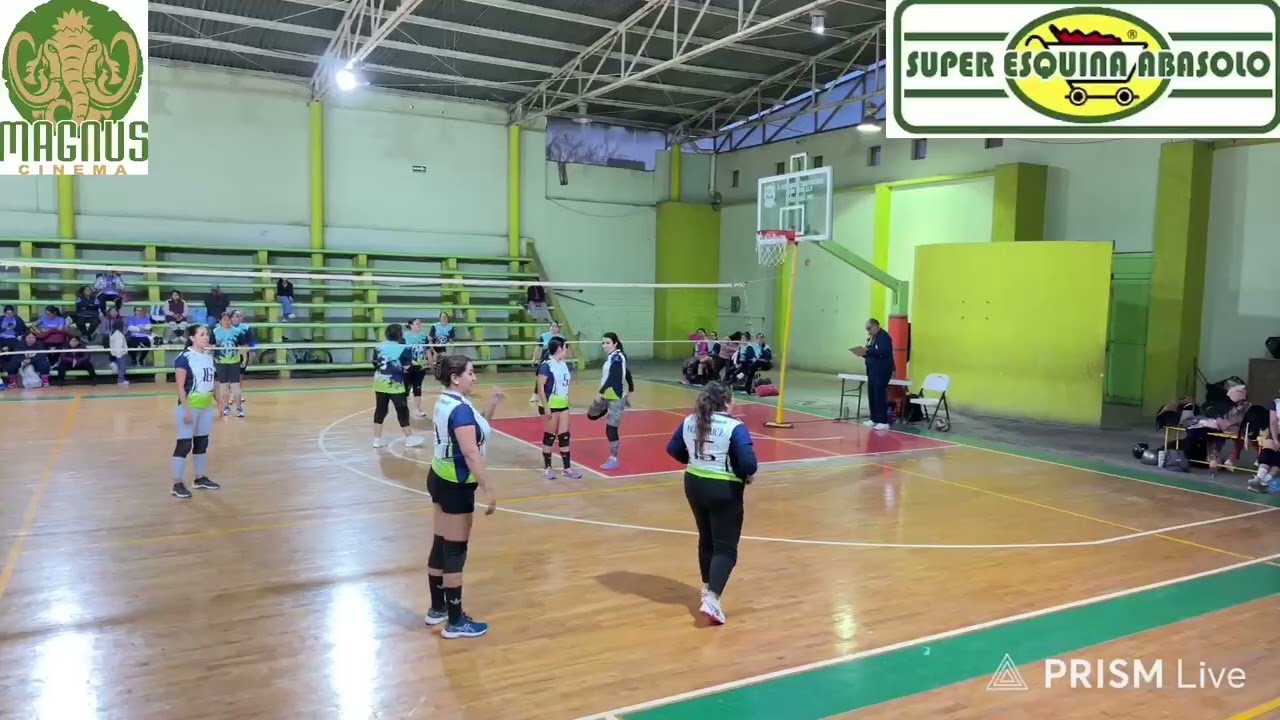 AUTOMOTRIZ VS INDOMABLES