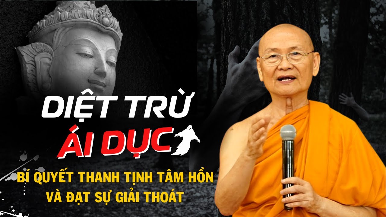 C&aacute;ch Diệt &Aacute;i Dục: B&iacute; Quyết Thanh Tịnh T&acirc;m Hồn v&agrave; Đạt Sự Giải Tho&aacute;t! HT Vi&ecirc;n Minh