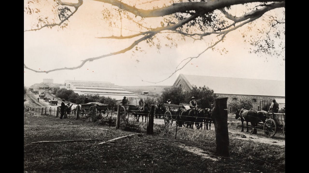 The history of Seppeltsfield, Barossa Valley  - Podcast by Andrew Caillard MW