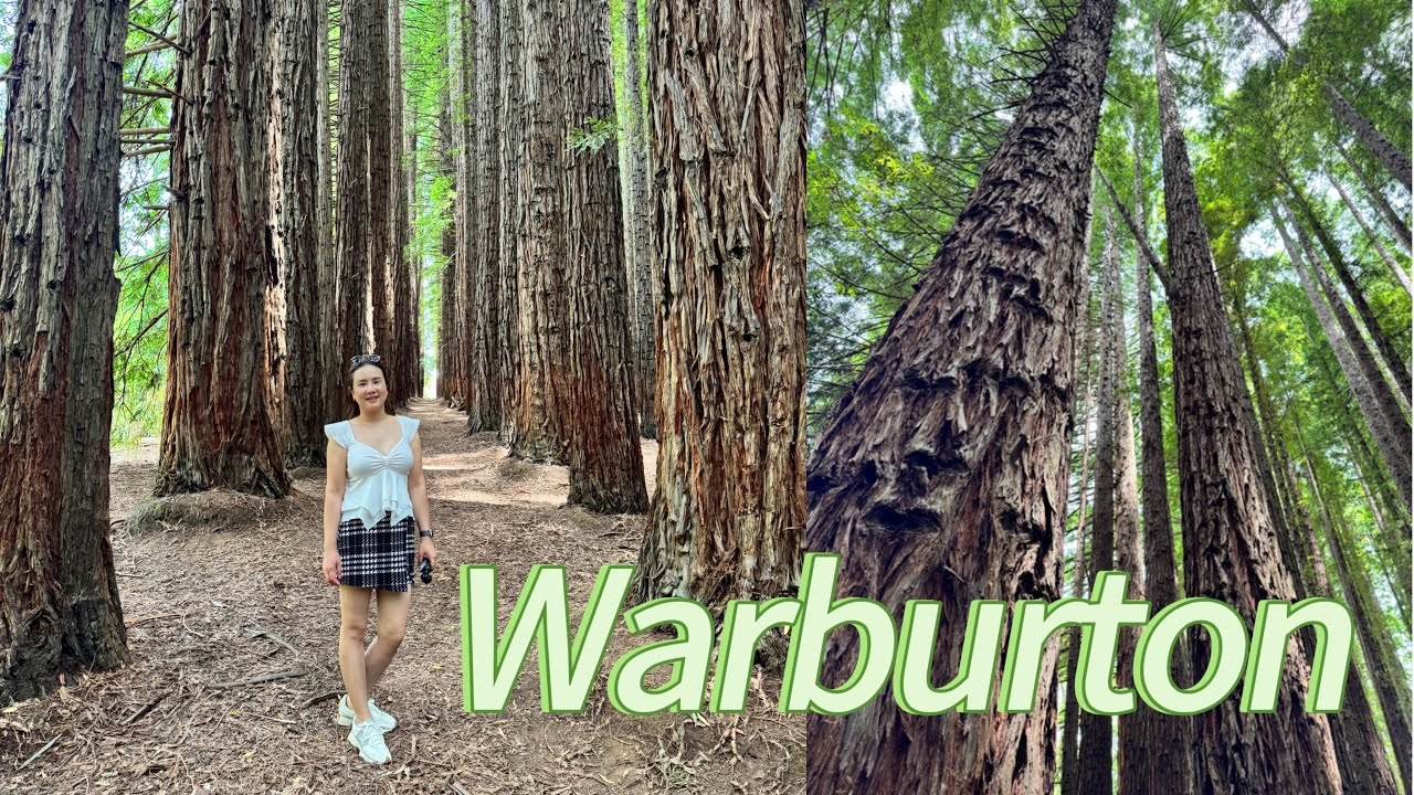 Day trip to Warburton 