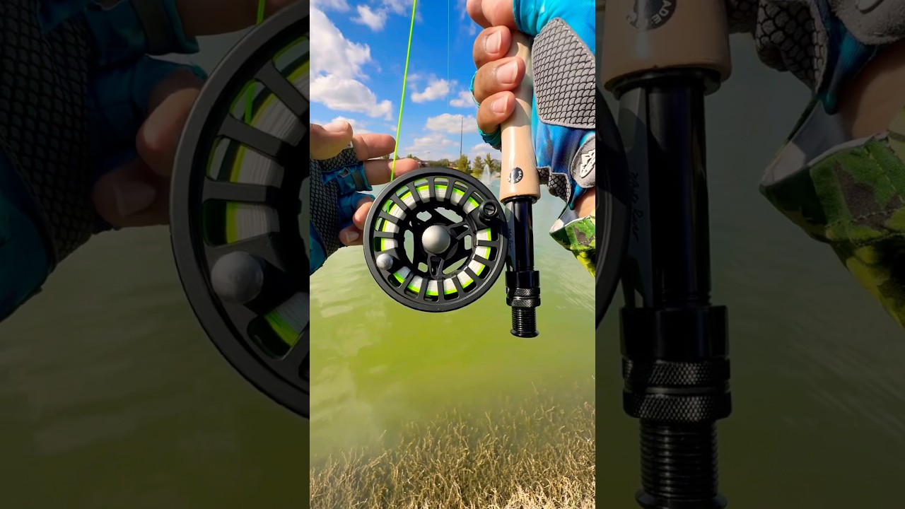 Tips Using A fly Rod for fly fishing#fishing#tips#fish#shortvideo#shorts#short#viral#youtube#bass