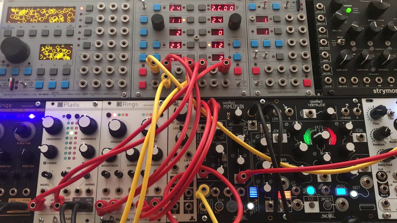 Orthogonal Devices ER-101 Rings and Mimeophon Ambient Sequence 2