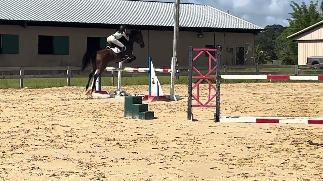 Samantha Baggett - 1.20m course work at home