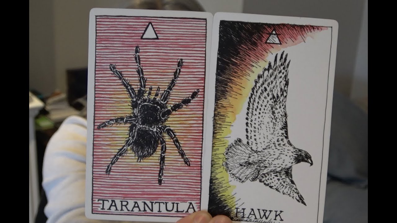Aries - Soaring Higher Than You Have Ever Soared Before!