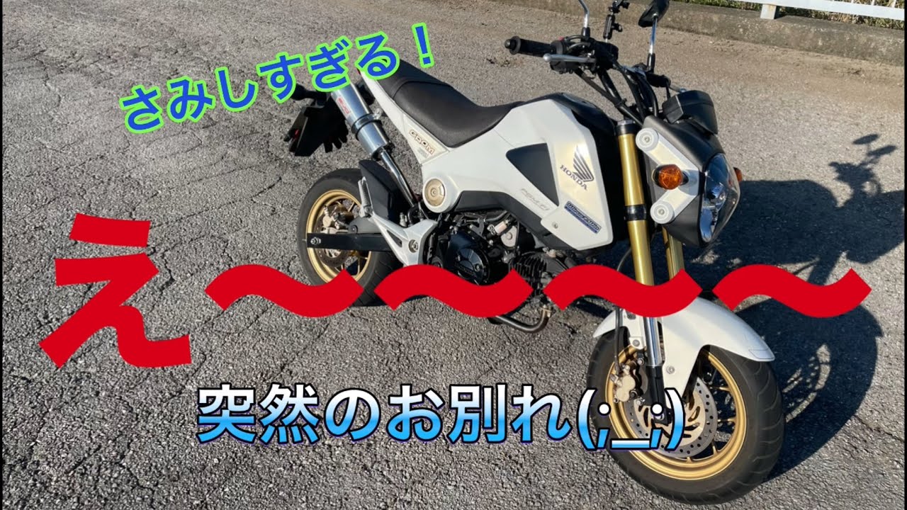 緊急報告です(;_;)