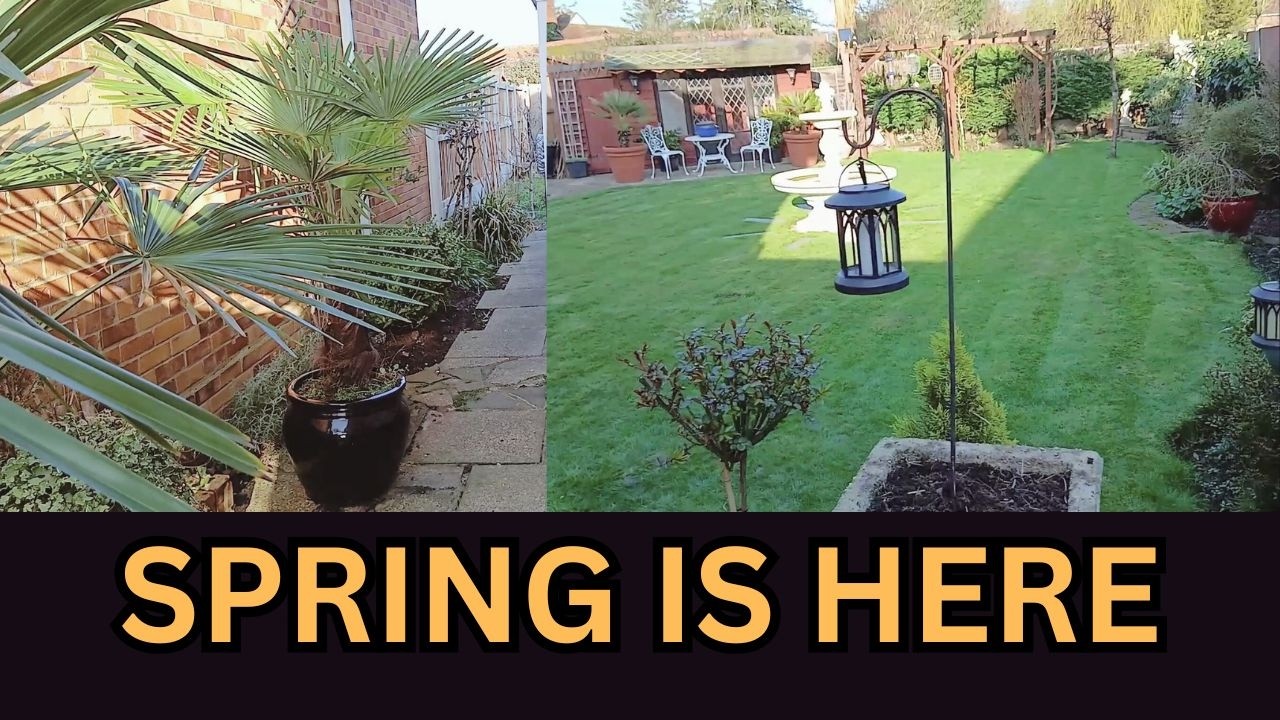 SPRING GARDEN RESET 2026 🌿 Lawn Cut, Hedge Trimmed & Fruit Trees Blooming | UK Garden Life