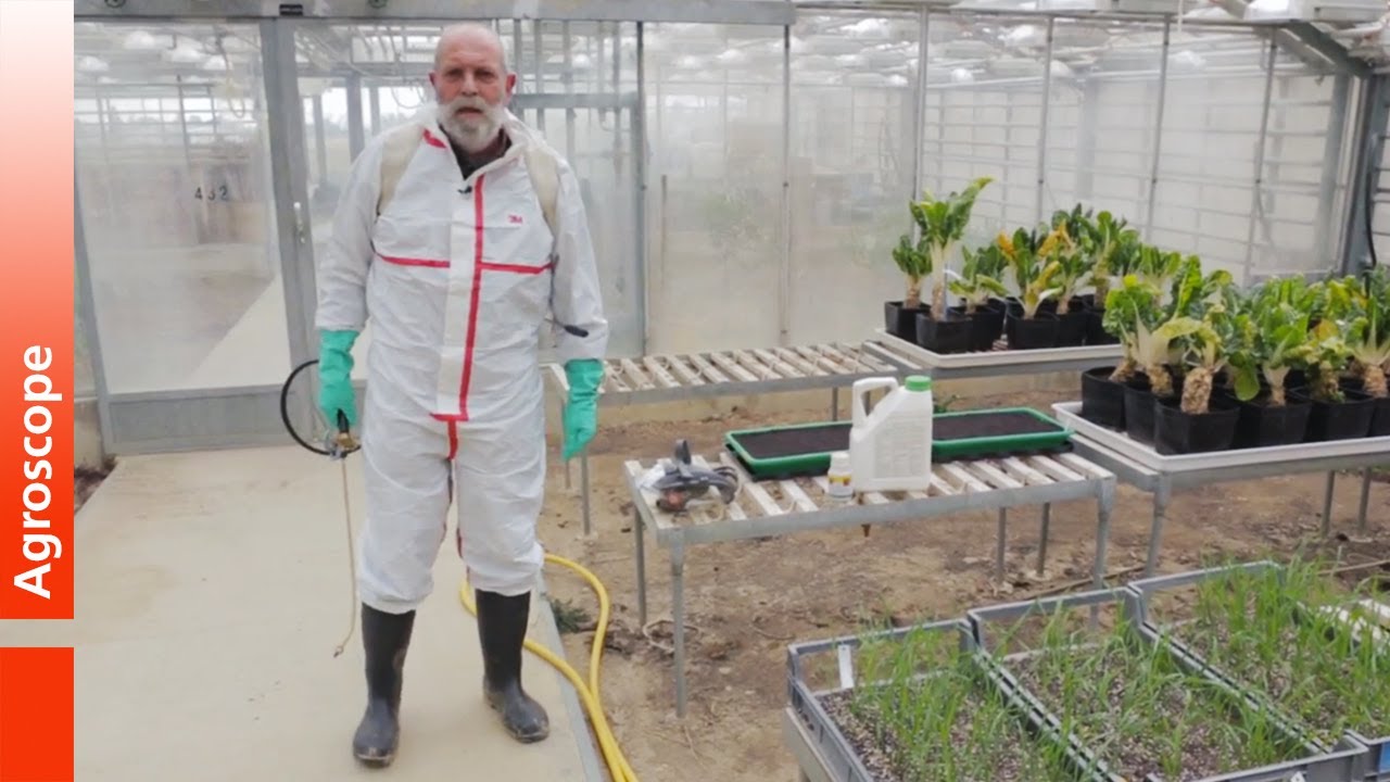 La sécurité en expérimentation agricole
