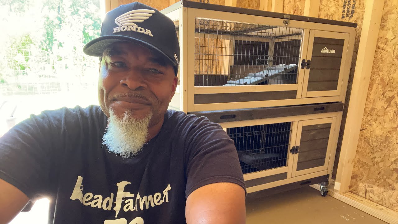 LEADFARMER73’s Double Dutch Rabbit Hutch 🐰🐇🐰 by Avituvin