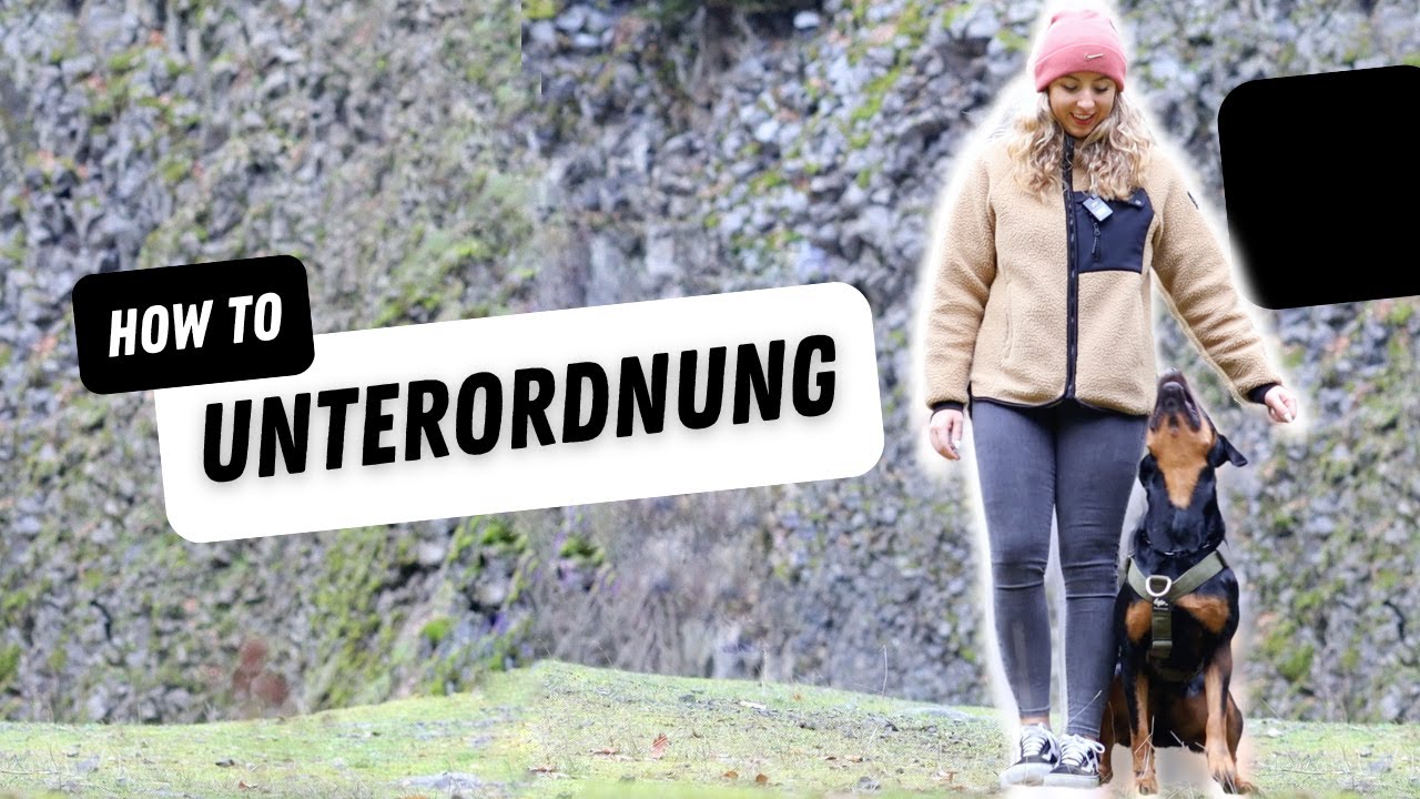How to Unterordnung | Tutorial Fu&szlig;laufen | Teil 5