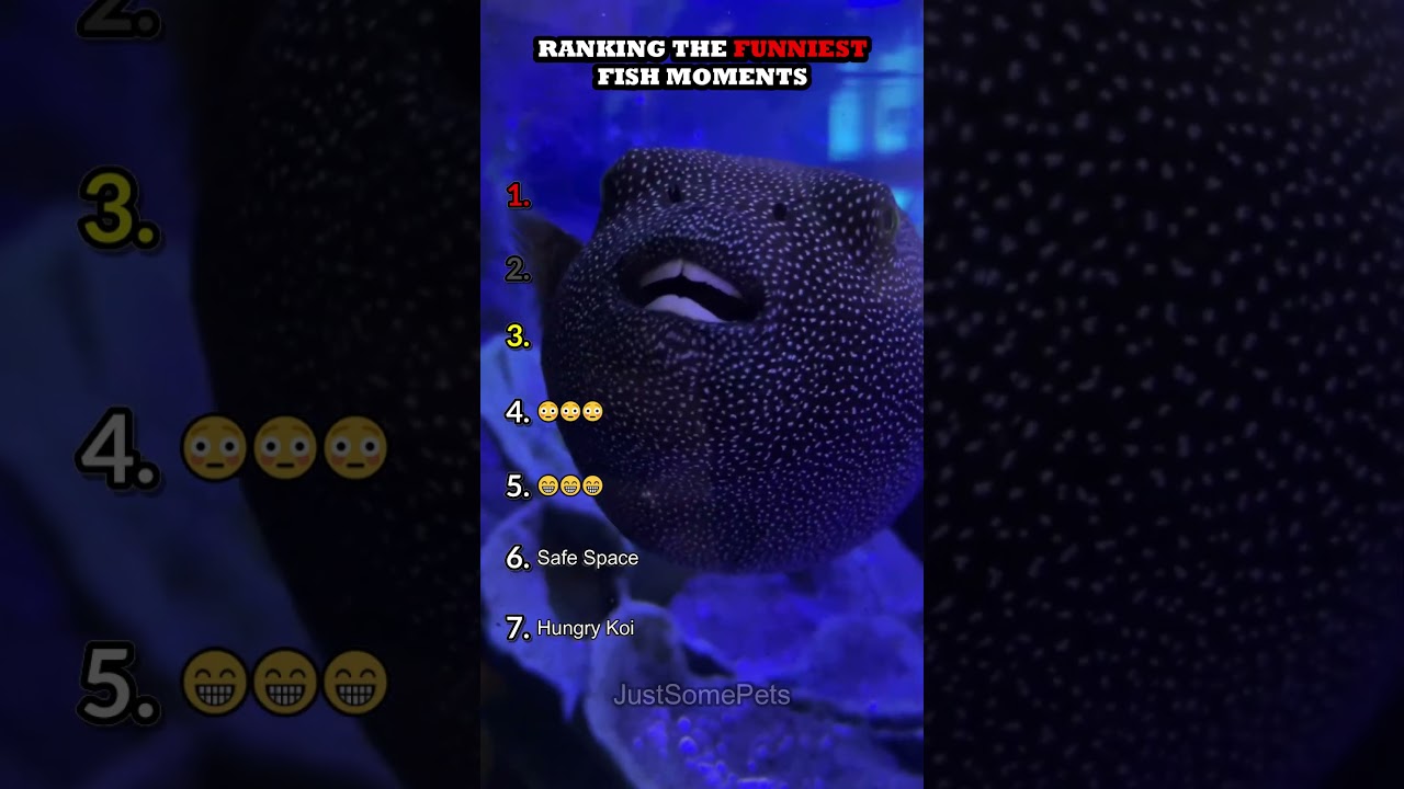 Ranking The Funniest Fish Moments Part 2