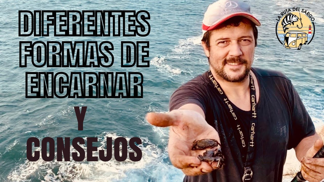 CÓMO PESCAR SARGOS, PINTOS y MARAGOTAS a BOYA con CANGREJO (MAESTRO JONY CALVO)