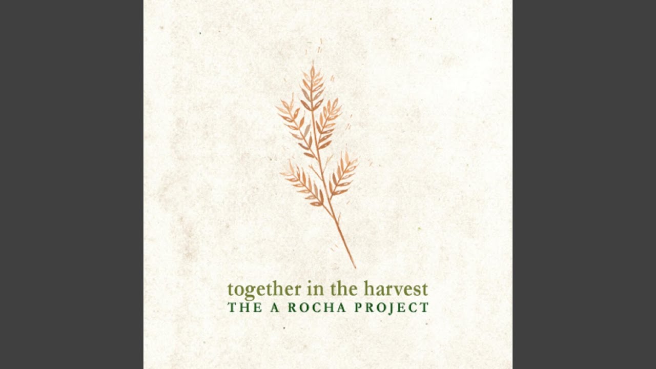 We Will All