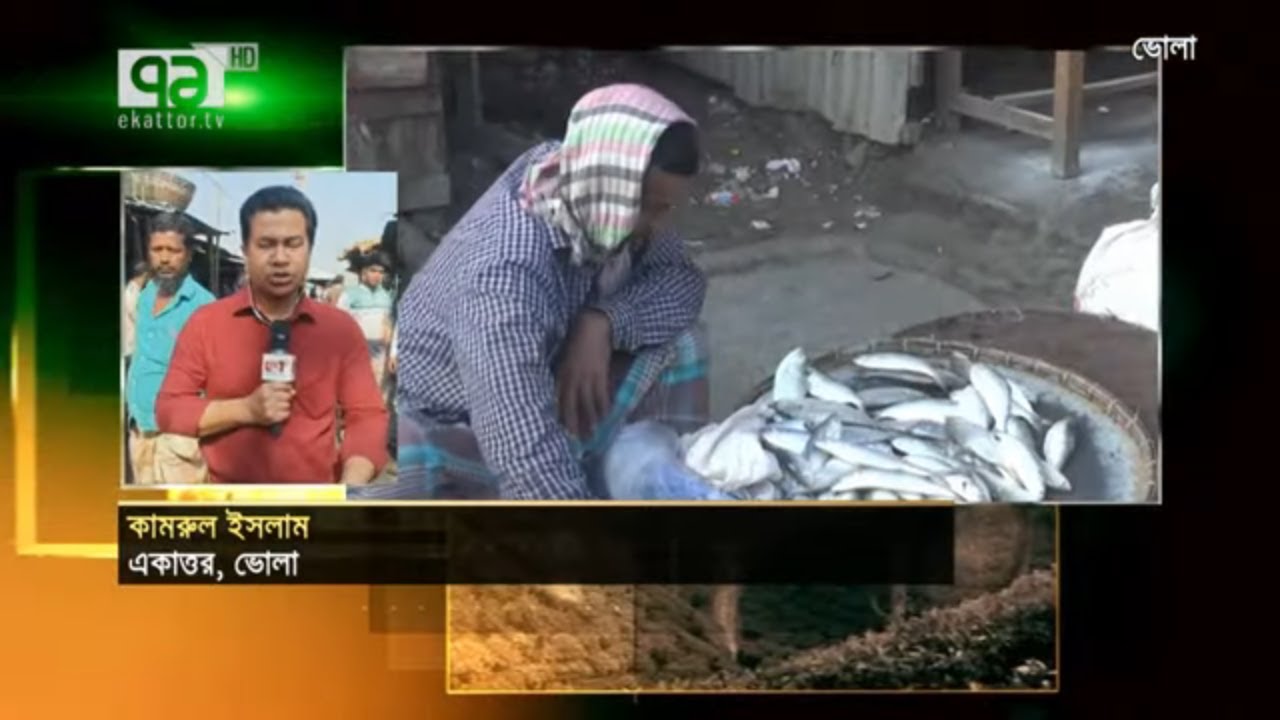 মার্চ-এপ্রিল ইলিশ ধরা মানা | Ilish | Fishing | Ban | News | Ekattor TV