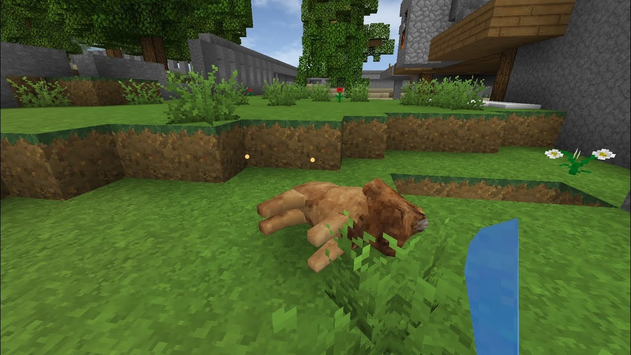 Fortaleza survival #1 