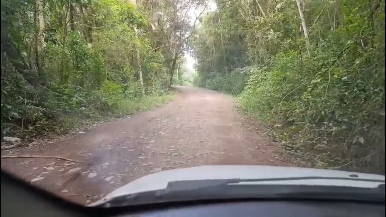 Cód 153 - Área de Terra 10 Hectares em Caraá/RS