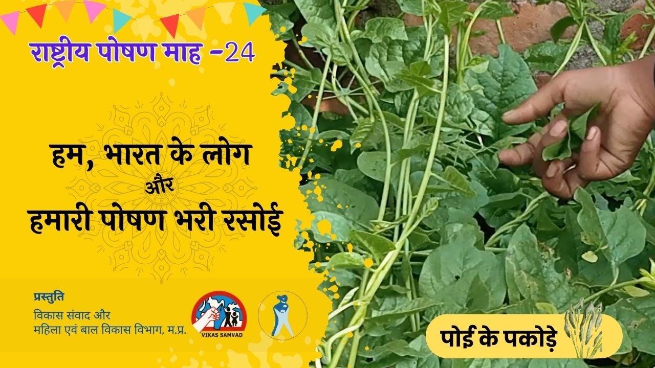 पोई के पकौड़े: हम भारत के लोग और हमारी पोषण भरी रसोई (4) POI KE PAKKOUDE