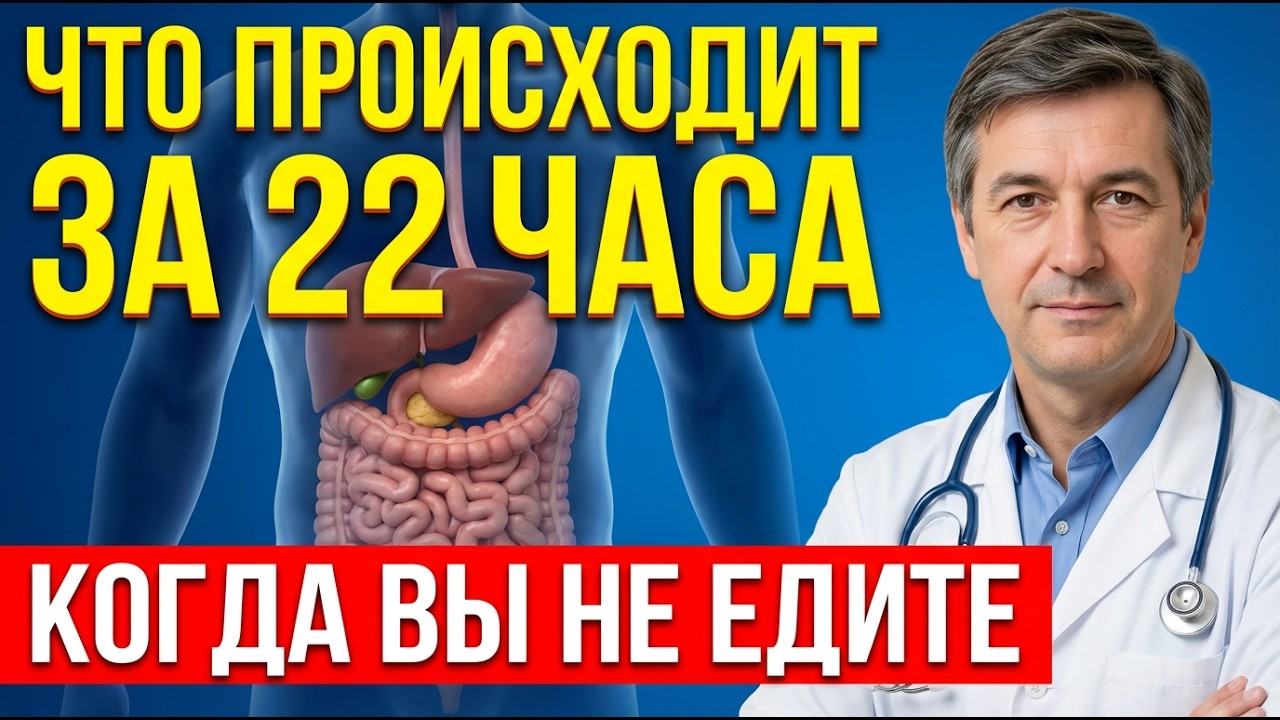 Что происходит с телом, если есть 1 раз в день — час за часом, орган за органом