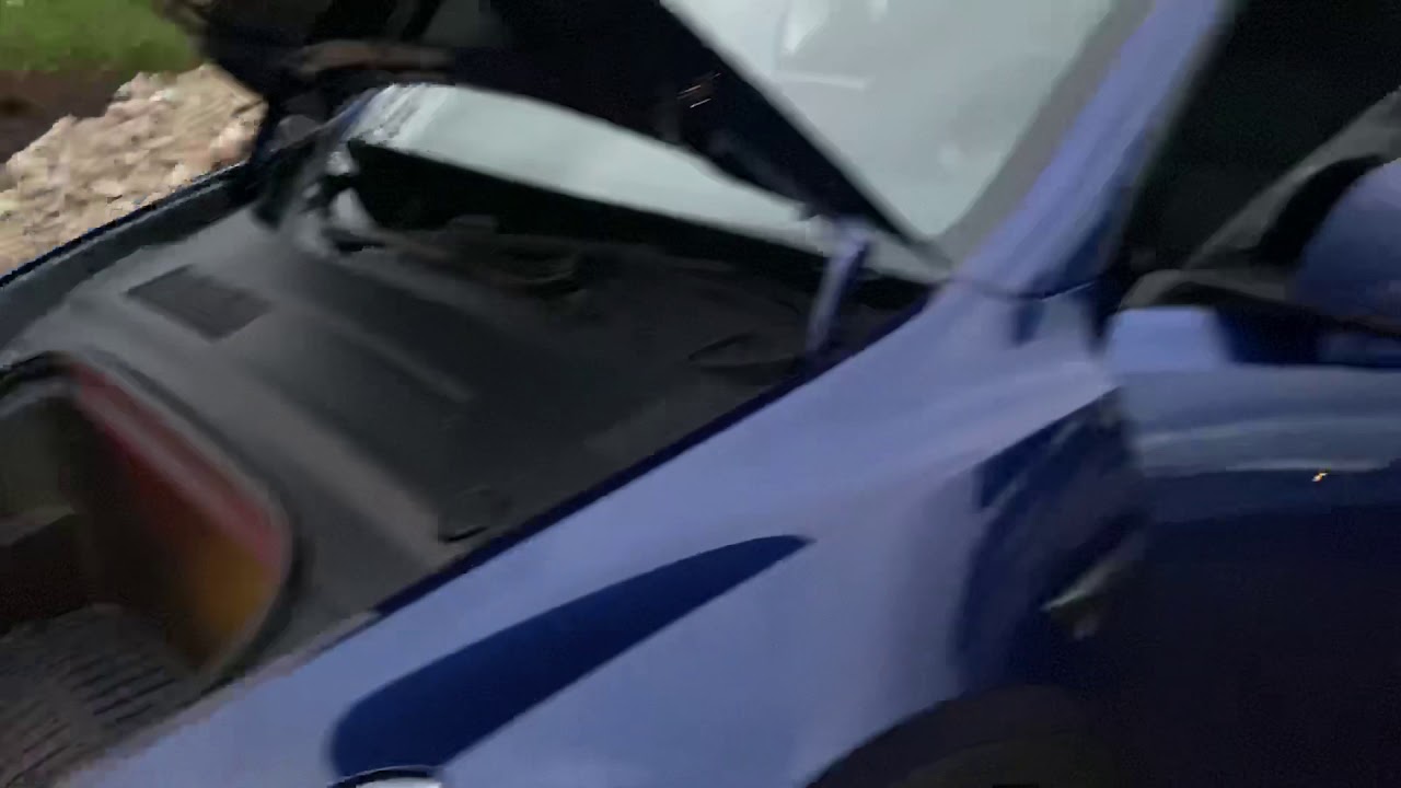 Model Y Walk-through in Landscape