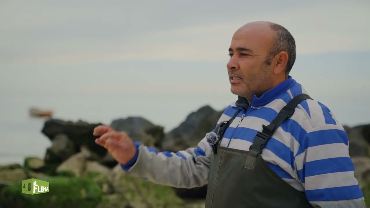 قصة بحار من جربة