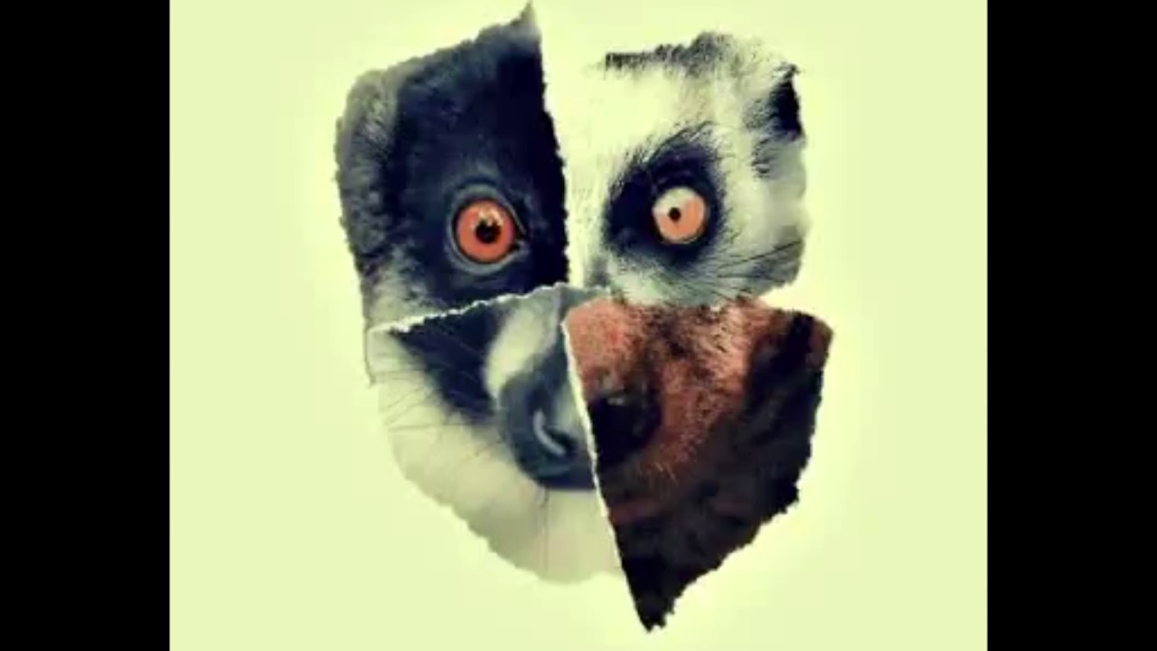 Lemur - Die Rache der Tiere - Albumsnippet