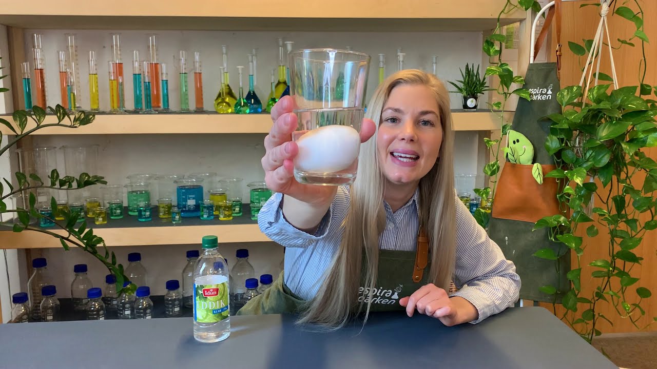 Eksperiment med egg og eddik - Nakent egg | Espira-parken