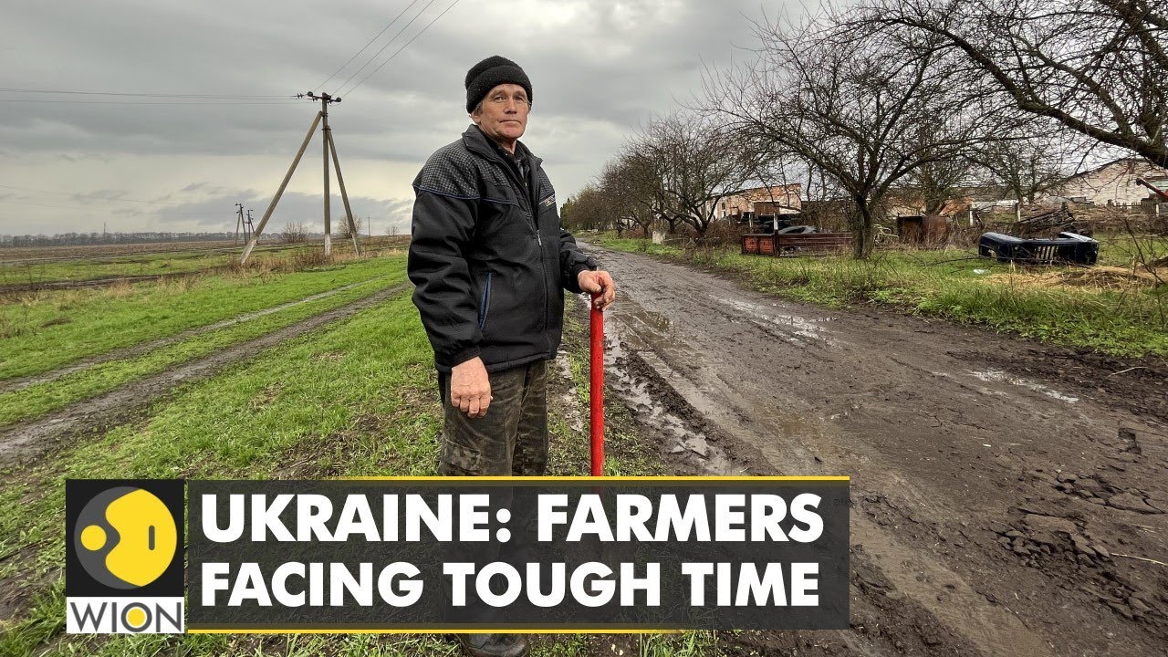 Ukraine: Harvest season makes farmers anxious, estimated 22 million tons of grain blocked | WION