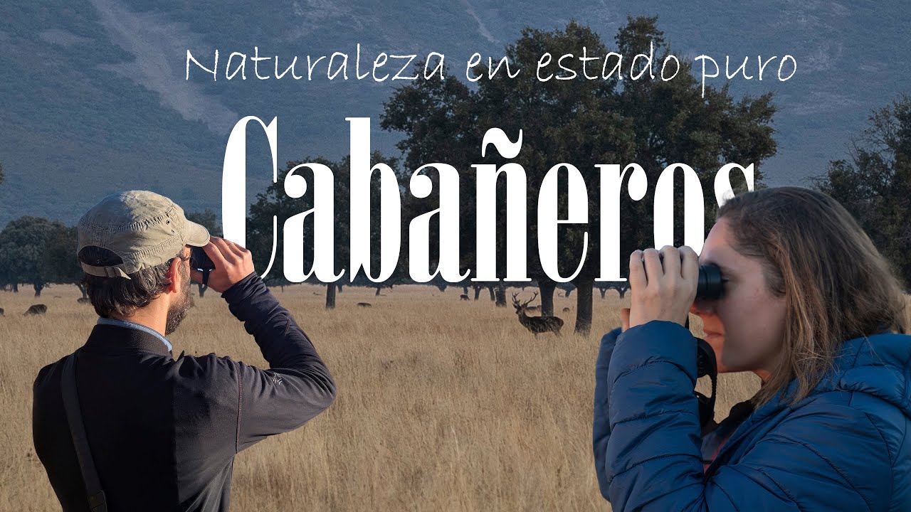 Parque Nacional de Cabañeros 🌿 | La berrea del ciervo y el bosque mediterráneo más salvaje de España