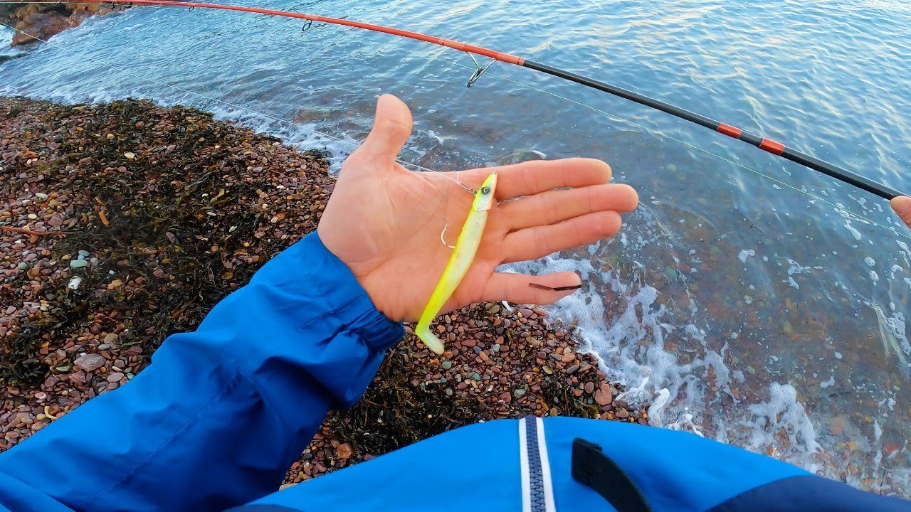 NEVER LOOSE CONFIDENCE | GOING BACK TO BASICS WHEN LURE FISHING | WHAT IS THE BEST BRIGHT LURE?