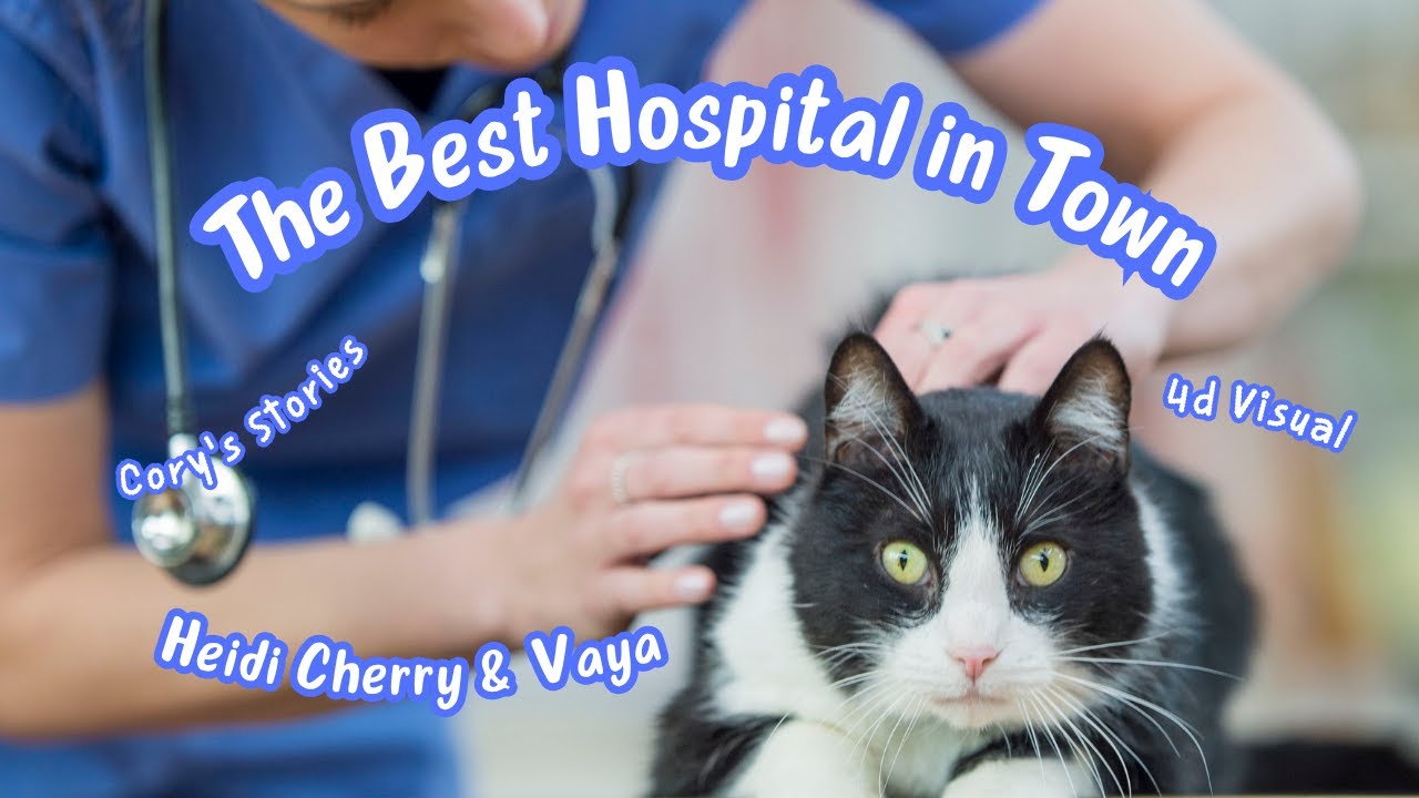 Fun Bedtime Story For Kids | Heidi Cherry & Vaya - The Best Hospital In Town