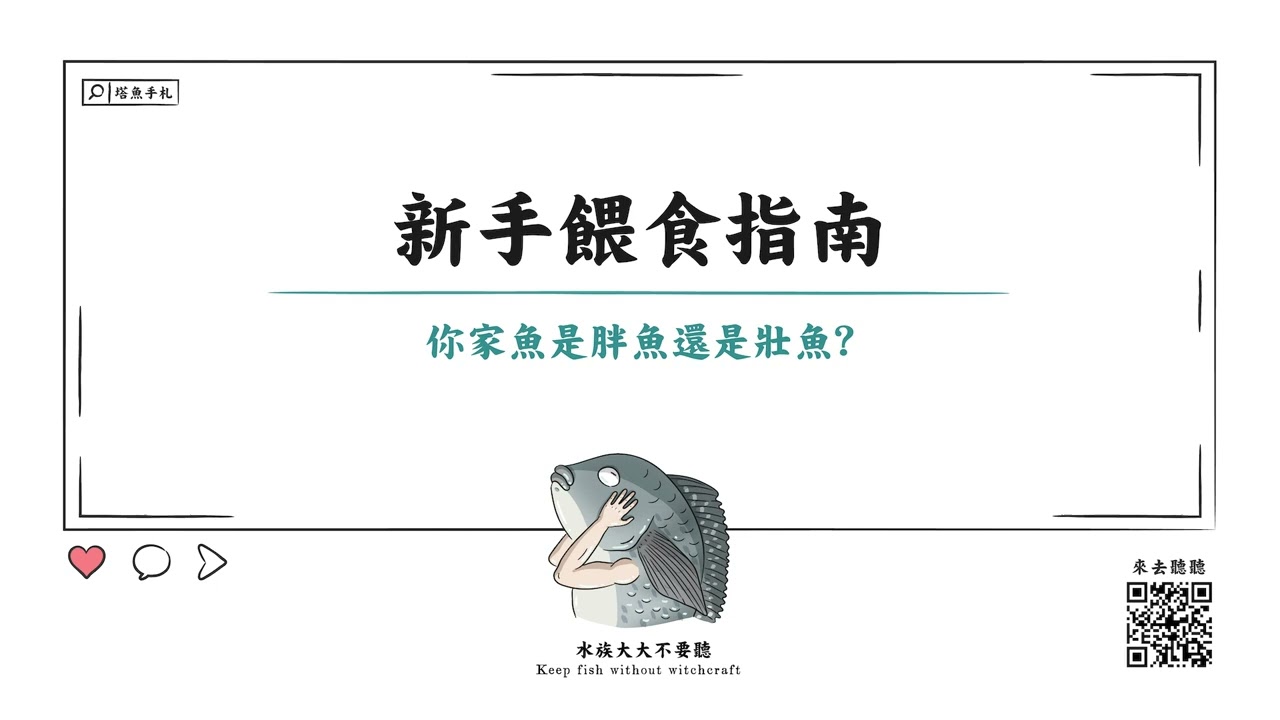 [水族大大不要聽]新手餵食指南?魚會不會被餓死?該如何餵魚?要餵多少?魚的胖瘦該如何觀察呢?