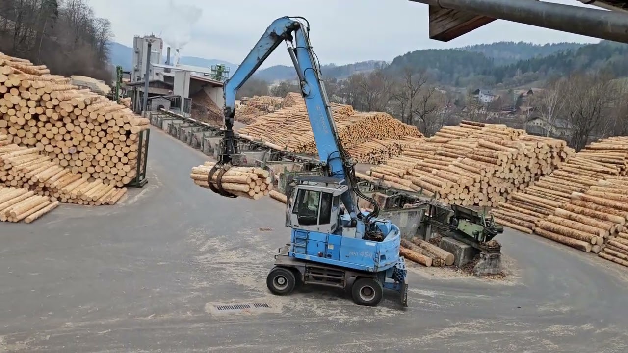 Terex Fuchs MHL 454