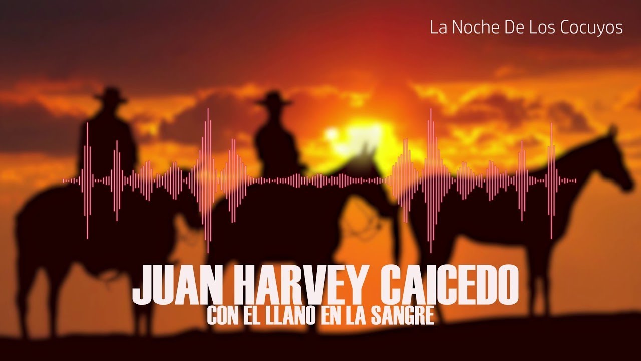 La Noche De Los Cocuyos - Juan Harvey Caicedo | Música Llanera