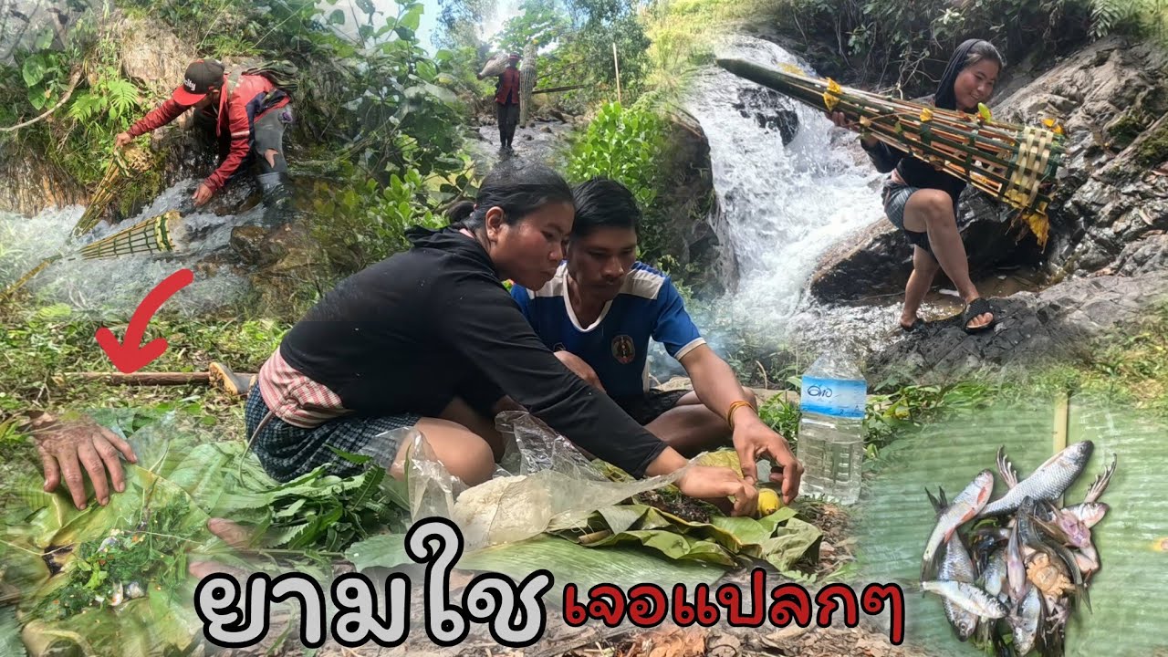 22 มกราคม ค.ศ. 2026พาเมียเข้าป่ายามใชเจอสิงทีแปลกๆถูกใช