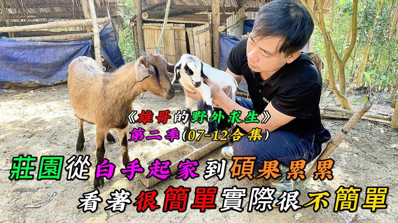 一口氣看完，莊園從白手起家到碩果累累，看著很簡單實際很不簡單《雄哥的野外求生》第二季（07-12合集）