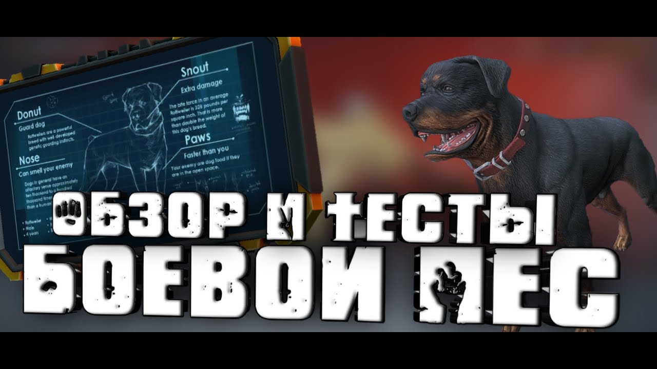 Модерн опс-Боевой Пёс Обзор и Тесты