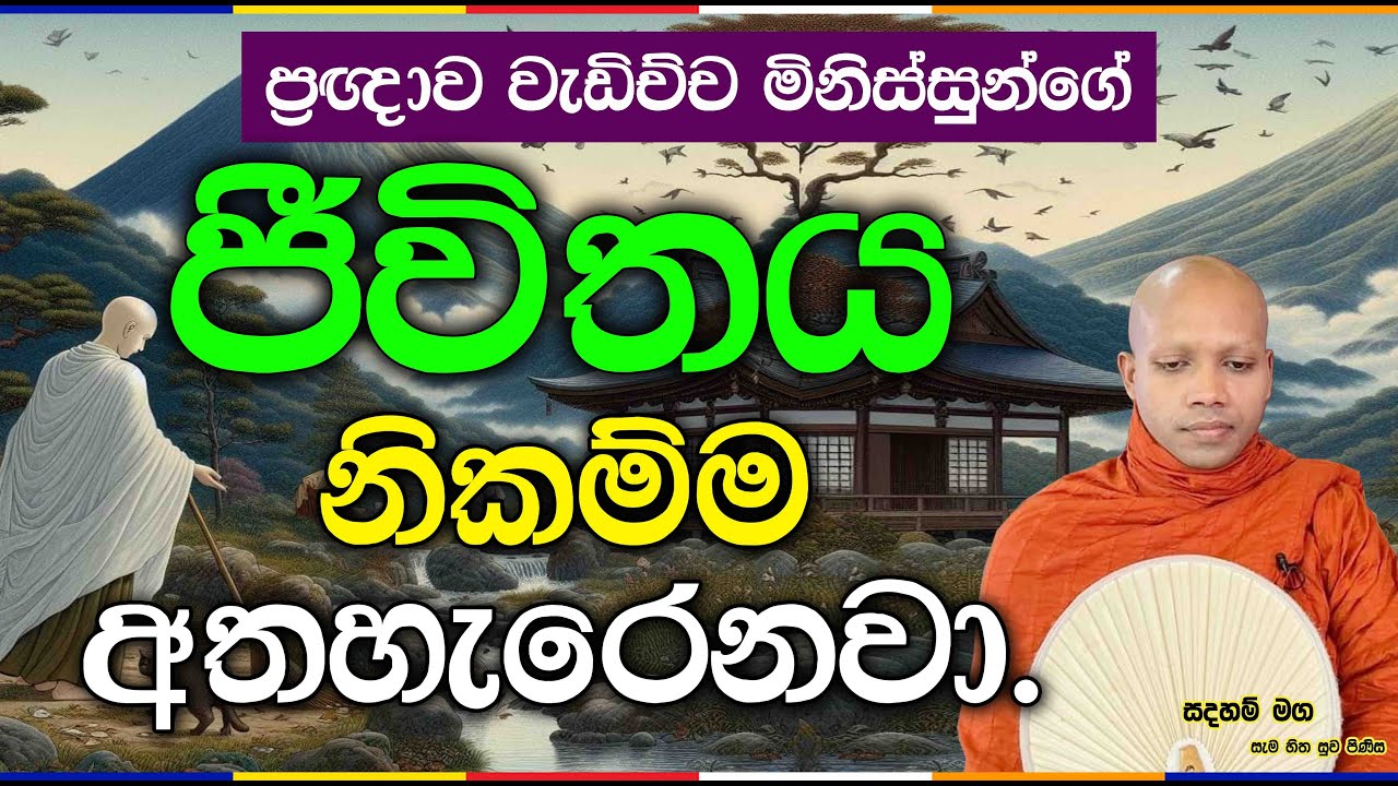 ප්‍රඥාව වැඩිච්ච මිනිස්සුන්ගේ ජීවිතය නිකම්ම අතහැරෙනවා.2844Ven Hasalaka Seelawimala Thero